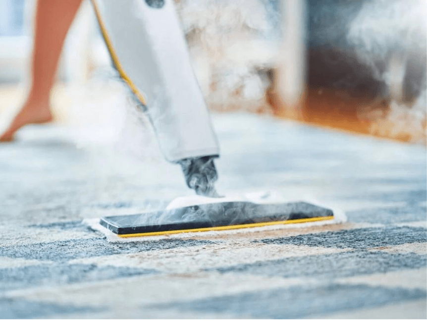 Désinfection vapeur seche