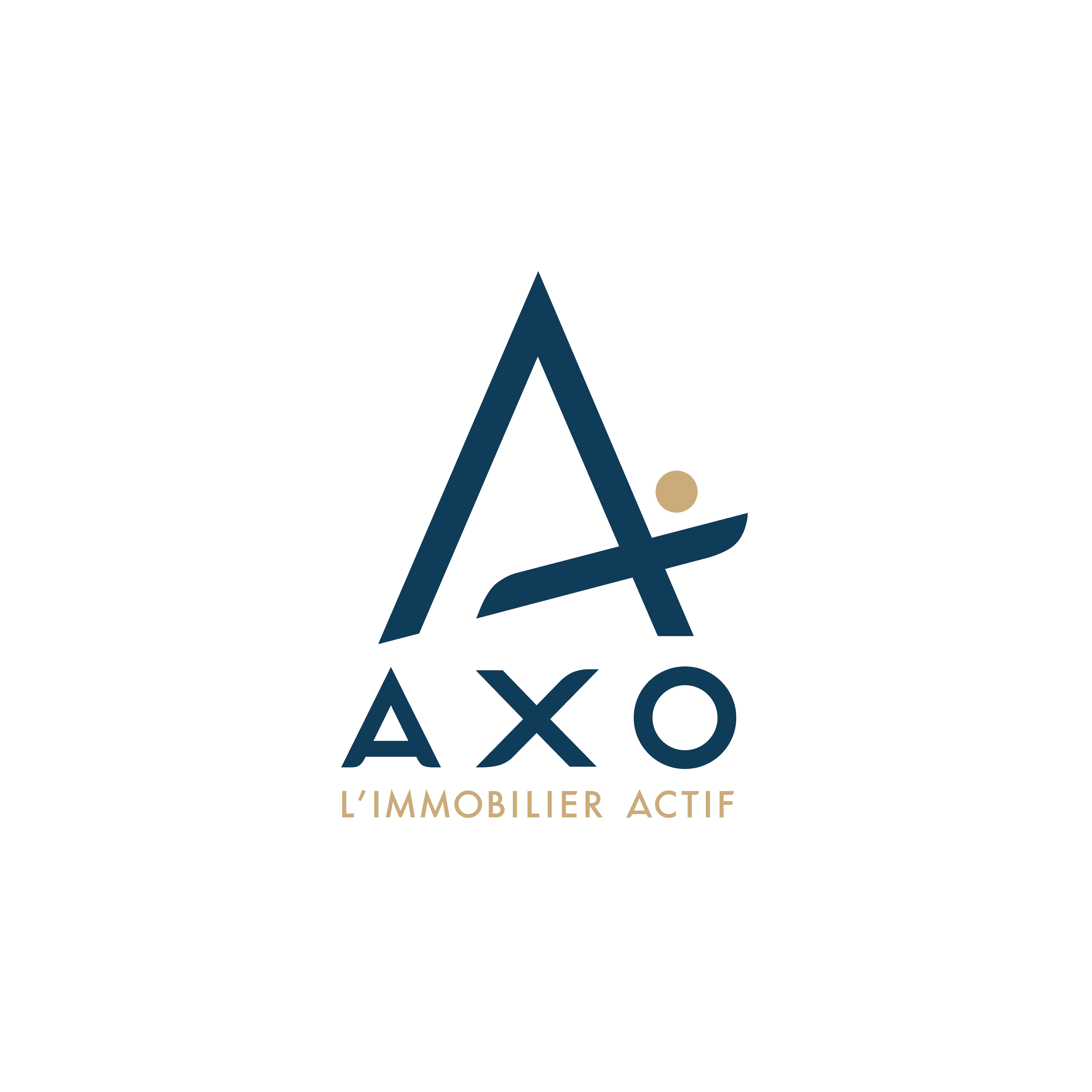 Axo L'immobilier Actif